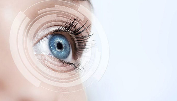 muskmelon benefits in summer,health benefits of muskmelon,summer superfood: muskmelon,nutrients in muskmelon,immune-boosting properties of muskmelon,muskmelon for hydration,digestive benefits of muskmelon,low-calorie fruit: muskmelon,blood pressure regulation with muskmelon,eye health and muskmelon,muskmelon for healthy skin,anti-inflammatory properties of muskmelon,energy-boosting benefits of muskmelon