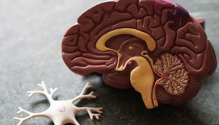 health benefits of kakadi,nutritional benefits of kakadi,kakadi for hydration,kakadi and weight loss,kakadi for skin health,kakadi for digestion,kakadi for detoxification,kakadi and antioxidants,kakadi for heart health,kakadi and blood pressure,kakadi and diabetes,kakadi for hair health,kakadi and vitamins,kakadi for bone health,kakadi and minerals,kakadi and hydration,kakadi and cooling effect,kakadi and fiber,kakadi for summer health,how to include kakadi in diet