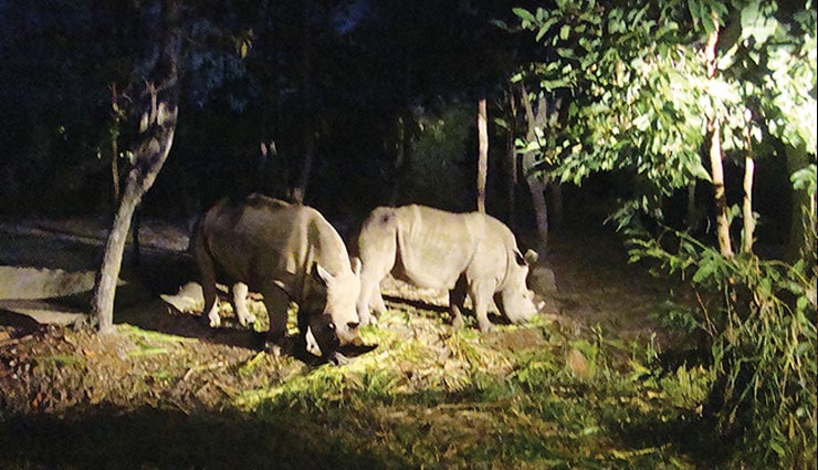 5 best upcoming night safari in india,greater noida night safari,gorewada zoo night safari,night safari in pench national park,night safari in ranthambore national park,night safari in kanha national park
