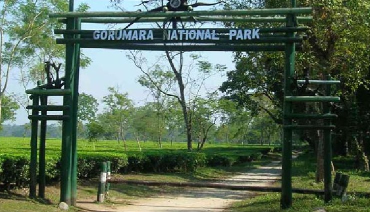 trekking near kolkata,sundarbans national park trek,sandakphu-phalut trek,singalila national park trek,neora valley national park trek,buxa tiger reserve trek,gorumara national park trek,garh panchkot trek,ayodhya hills trek,susunia hill trek,jaldapara national park trek,trekking destinations near kolkata,adventure sports kolkata,nature trails near kolkata