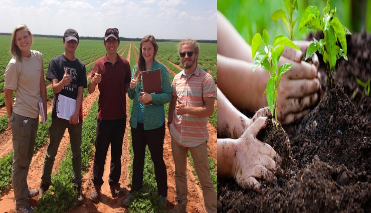 यहाँ ग्रेजुएशन की डिग्री के लिए पढ़ाई से ज्यादा जरूरी पेड़ लगाना, बनाया गया है विशेष कानून