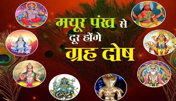 ग्रह दोष से छुटकारा दिलाएगा मोरपंख, इन तरीकों से करें परेशानियों का अंत