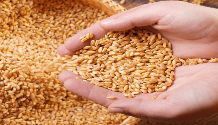 बीकानेर : फर्जी तरीके से गरीबों के राशन का मुफ्त गेहूं उठा रहा था पटवारी, हुआ निलंबित