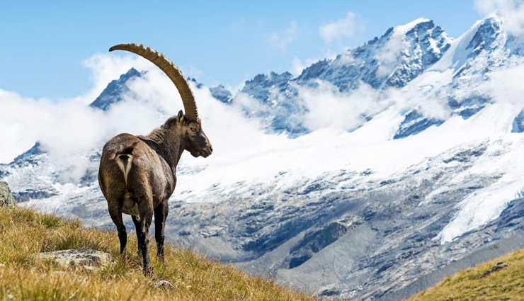 italy tourist attractions,top attractions in italy,must-see places in italy,popular tourist sites in italy,iconic landmarks in italy,famous attractions of italy,sightseeing in italy,italy must-visit destinations,historic sites in italy,cultural attractions of italy,natural wonders in italy,landmarks and monuments in italy,tourist hotspots of italy,hidden gems in italy,unforgettable experiences in italy