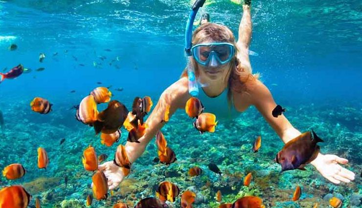 scuba diving in india,cost of scuba diving in india,places good for scuba diving in india,seven places to go scuba diving in india,best scuba diving in india,where to go scuba diving in india,cheapest scuba diving in india