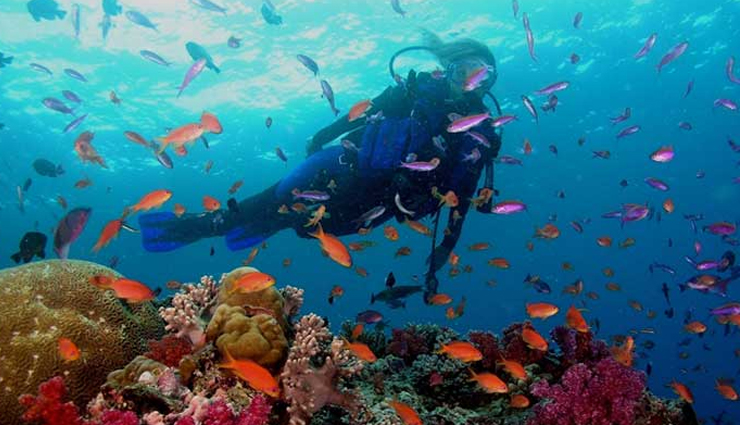 snorkeling in india,best snorkeling spots in india,snorkeling destinations india,andaman snorkeling sites,netrani island snorkeling,lakshadweep snorkeling,snorkeling in goa,tarkarli snorkeling spots,top places for snorkeling in india,marine life snorkeling india