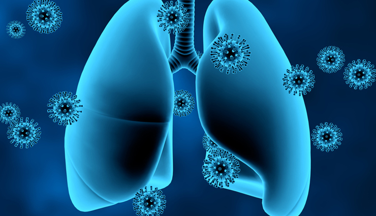 health benefits of grapes,grapes,Health tips,fitness tips