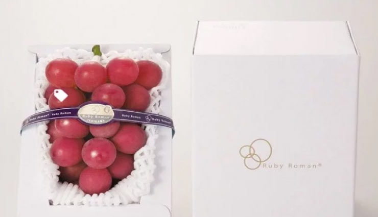 अमीरों के लिए बना है यह लाल अंगूर, 100-200 नहीं लाखों में है इसकी कीमत bunch of red grapes,ruby roman auction,rs 7 lakh,japanese auction,weird news,weird story