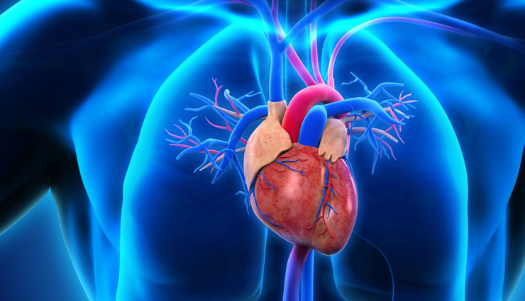 health benefits of grapes,grapes,Health tips,fitness tips