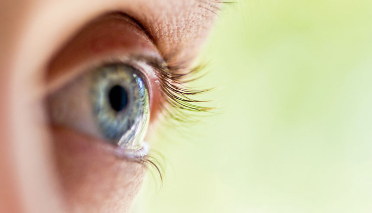 health benefits of grapes,grapes,Health tips,fitness tips