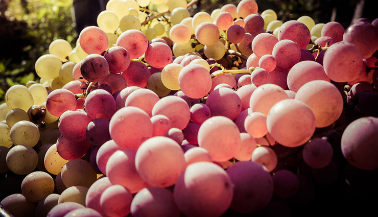 beauty tips,hair care tips,skin care tips,amazing benefits of eating grapes,5 wonders grapes are doing to your hair and skin,grapes for skin and hair