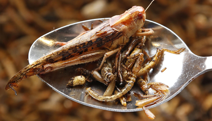 nigerian food,weird nigerian food,travel,holidays,travel guide