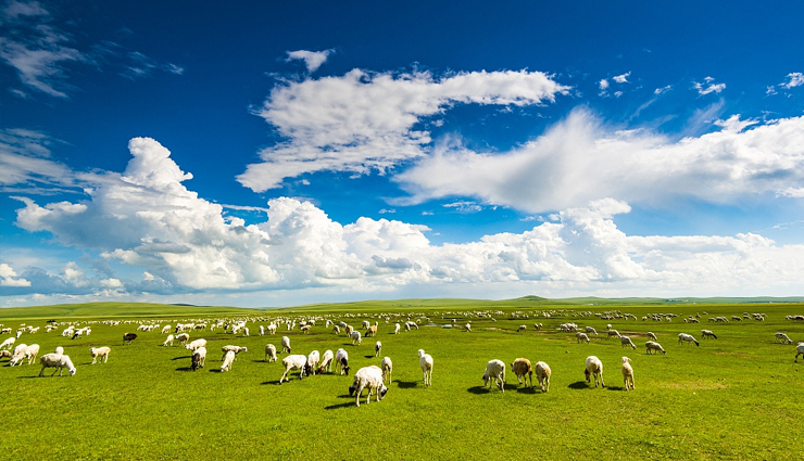 china,china travel,places to visit in china,china tourism,tourist places in china,china travel,holidays,travel guide,travel tips