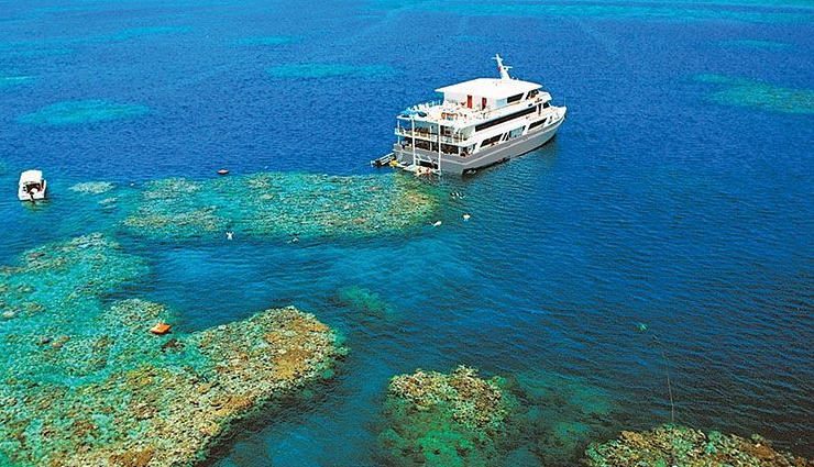 best wildlife cruises,wildlife exploration cruises,wildlife watching cruises,wildlife safari cruises,top wildlife destinations on a cruise,global wildlife cruising adventures,wildlife-rich cruise destinations,wildlife encounters on cruises,best cruises for wildlife enthusiasts,must-visit wildlife cruising destinations