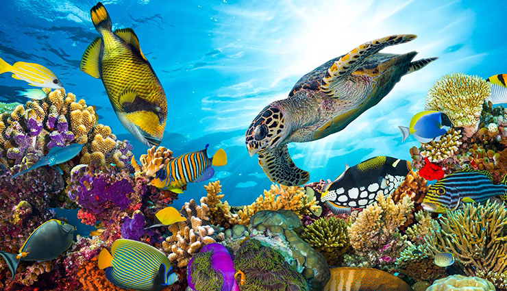 australia travel experiences,must-visit attractions australia,tourist destinations australia,exciting things to do australia,sydney tourist spots,melbourne cultural scene,pink lake australia,wildlife encounters australia,great barrier reef adventures,skydiving in australia