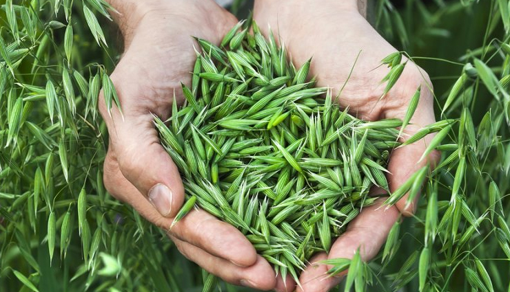 high blood pressure,tips to lower high blood pressure,high blood pressure problem,high bp,bp problem,how to treat high blood pressure,Health,Health tips