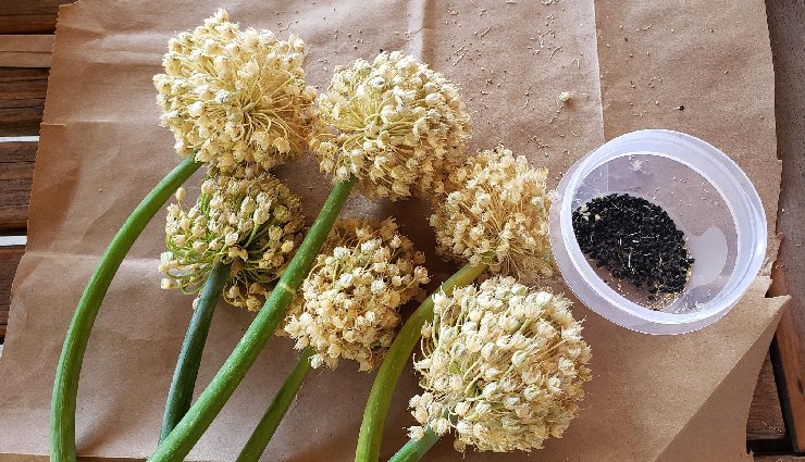 premature ejaculation remedies,how to delay ejaculation,early ejaculation treatment at home,sexual health tips for men,natural ways to last longer,male performance anxiety,premature ejaculation causes,early climax solutions,improve sexual stamina,mens wellness