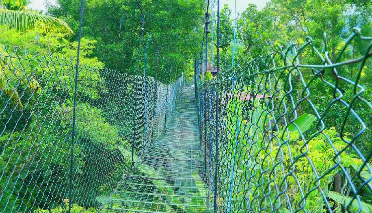 thekkady travel,thekkady tourism,places to visit in thekkady,kerala tourism,kumily travel,thekkady wildlife sanctuary,kerala hill stations,adventure in thekkady,nature tourism kerala,thekkady attractions