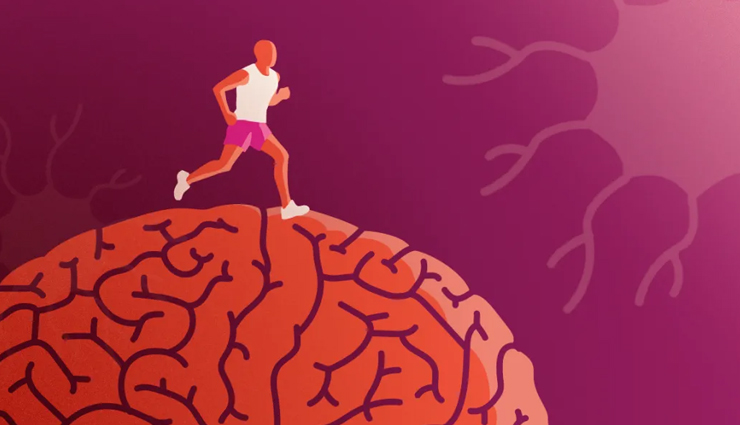 green tea,health benefits of green tea,Health tips,fitness tips