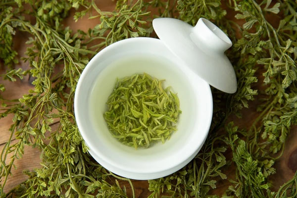green tea,green tea face pack,green tea for fairness,skin care tips,beauty tips