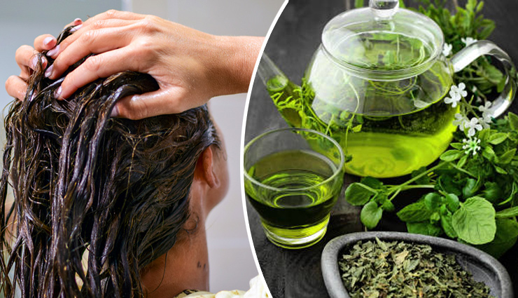 बालों से जुड़ी कई समस्याओं का समाधान करेगी ग्रीन टी, आजमाएं ये हेयर मास्क 