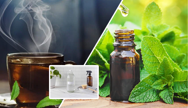 dandruff hair masks,homemade remedies for dandruff,diy scalp treatments,dandruff control with natural masks,hair masks for dandruff issues,effective home remedies for dandruff,scalp care with diy masks,dandruff-fighting hair treatments,natural remedies for dandruff,hair care with diy dandruff masks,anti-dandruff homemade treatments,herbal hair masks for dandruff,scalp nourishing diy masks,home treatments for scalp issues,soothing hair masks for dry scalp,dandruff relief with homemade masks,diy remedies for a flaky scalp,homemade solutions for scalp problems