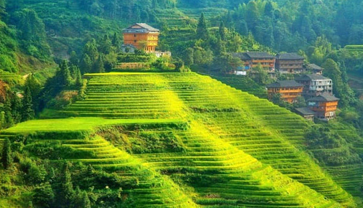 kodaikanal tourist attractions,best places to visit in kodaikanal,top tourist spots in kodaikanal,kodaikanal sightseeing destinations,must-see places in kodaikanal,explore kodaikanal: popular tourist attractions,kodaikanal hill station points of interest,tourist hotspots in kodaikanal,kodaikanal travel guide: must-visit places,unmissable sights in kodaikanal