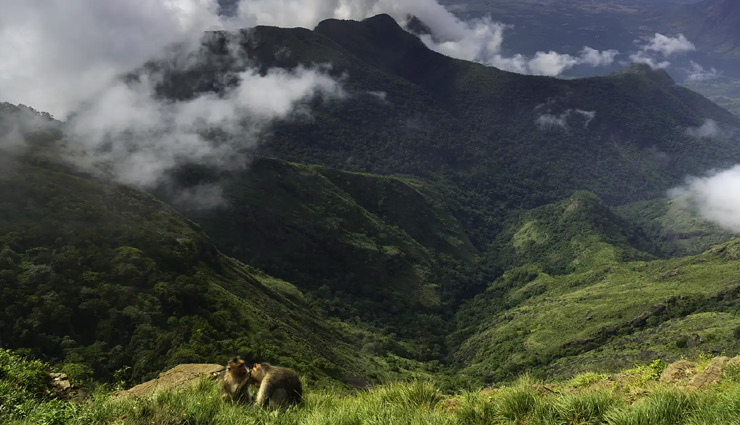 famous points to visit in kodaikanal,kodaikanal tourist spots,kodaikanal travel guide,hill stations in tamil nadu,best viewpoints in kodaikanal,kodaikanal tour packages,places to visit near madurai,scenic spots in kodaikanal,kodaikanal travel itinerary,kodaikanal sightseeing