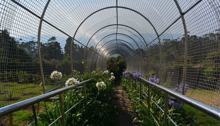 ooty,spots to visit in ooty,ooty travel,ooty travel tips,travel guide,travel,tourism