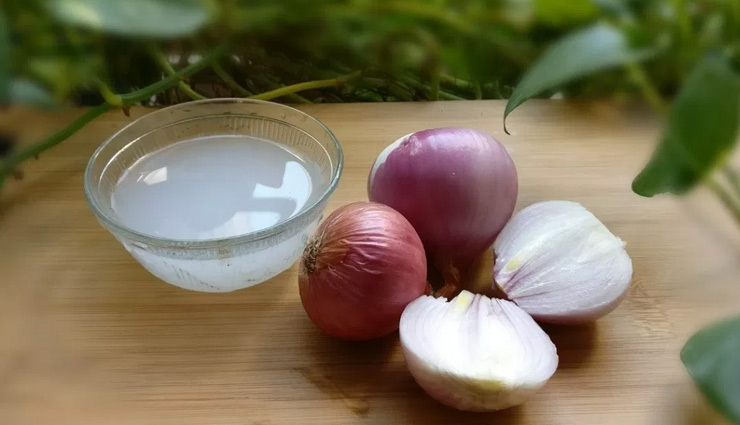 aloe vera,yogurt mask,pack of egg,olive oil and honey,amla,onion juice,home remedies,home remedies to grow hair on forehead,hair growth tips,hair care tips,beauty tips