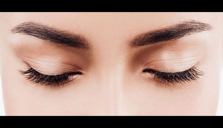 home remedies,home remedies for eyebrows,thick eyebrows,beauty tips,skin care tips
