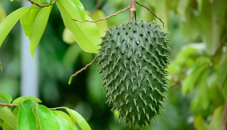fruit juices to try in ecuador,tomate de arbol,guanabana,guanabana,maracuya,naranjilla,travel,holidays