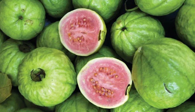 health benefits of guava,guava nutrition,guava for immunity,guava for digestion,guava for skin health,guava antioxidants,vitamin c in guava,guava health benefits,guava superfruit,guava fruit benefits,guava leaves health benefits,guava juice benefits,guava health properties,guava fruit uses