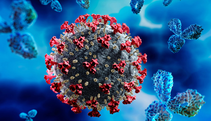 guava,health benefits of guava,Health tips,fitness tips