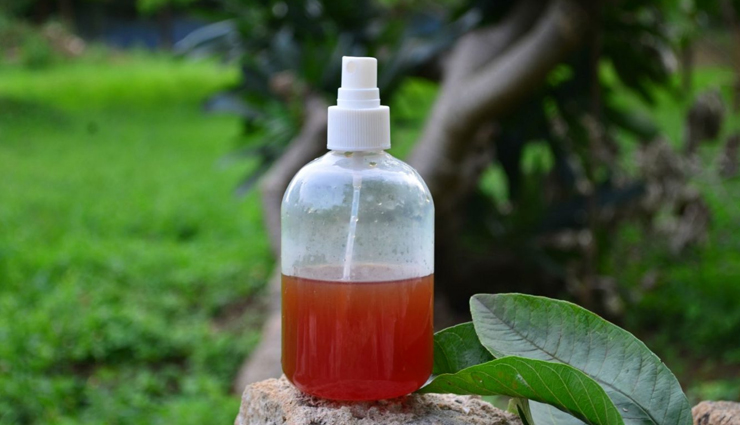 diy ways to use guava leaves for hair growth,guava leaves for hair,hair care tips,beaut tips,beauty hacks,guava leaves diy