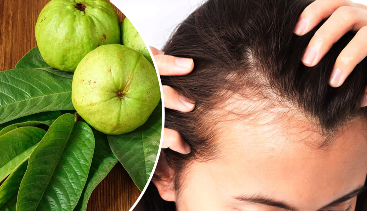 5 DIY Ways To Use Guava Leaves for Hair Growth 
