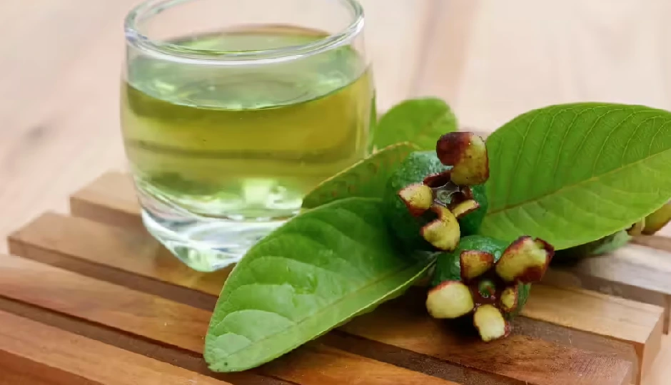 आंखों की रोशनी बढ़ाने में मददगार अमरूद की पत्तियों की हर्बल चाय, घर पर ऐसे बनाएं