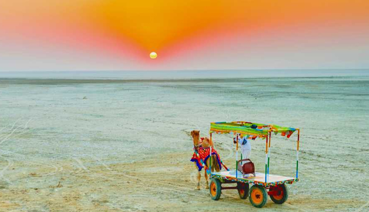 gujarat,places to visit in gujarat,tourist attraction in gujarat,vadodara,gir national park,dwarka,somnath temple,kutch,ahmedabad