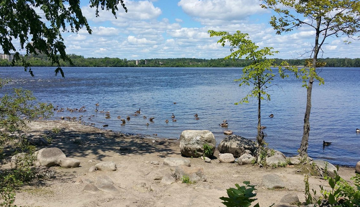 if you want to go to any beach destination then definitely visit these 7 beaches of gujarat,holiday,travel,tourism