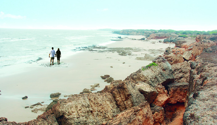 if you want to go to any beach destination then definitely visit these 7 beaches of gujarat,holiday,travel,tourism