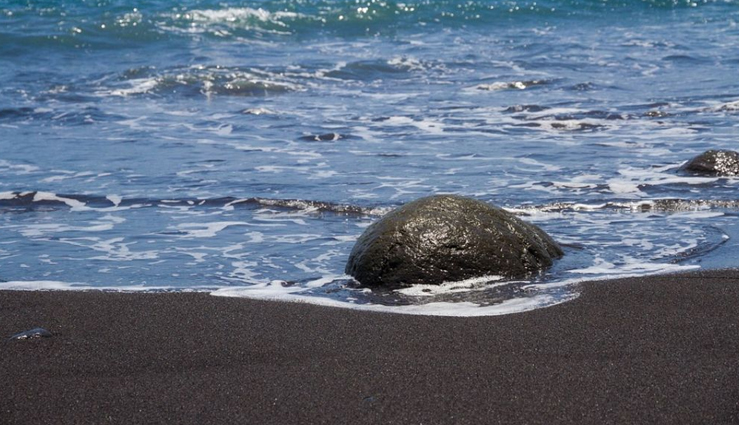 if you want to go to any beach destination then definitely visit these 7 beaches of gujarat,holiday,travel,tourism