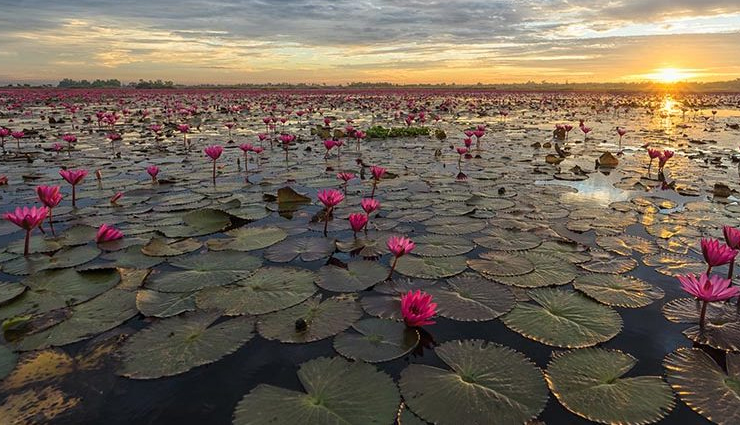 madhya pradesh tourist places,best places to visit in madhya pradesh,tourist attractions in madhya pradesh,explore madhya pradesh top destinations,must-visit places in madhya pradesh,madhya pradesh travel guide,famous tourist spots in madhya pradesh,heritage sites in madhya pradesh,natural wonders of madhya pradesh,madhya pradesh tourism highlights