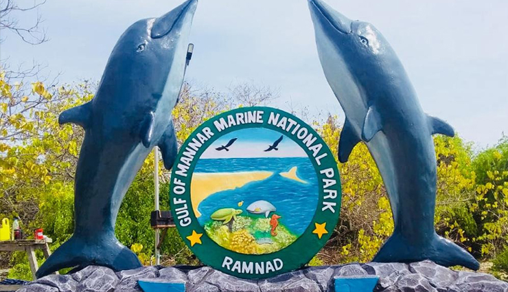 tamil nadu national parks,wildlife sanctuaries in tamil nadu,mudumalai wildlife sanctuary,indira gandhi wildlife sanctuary,top bird sanctuaries in tamil nadu,tamil nadu biodiversity,endangered species in tamil nadu,tamil nadu forest reserves,tamil nadu ecotourism,best wildlife photography spots in tamil nadu,tamil nadu wildlife conservation,tamil nadu wildlife safari,flora and fauna of tamil nadu,trekking in tamil nadu national parks,wildlife sanctuaries near chennai