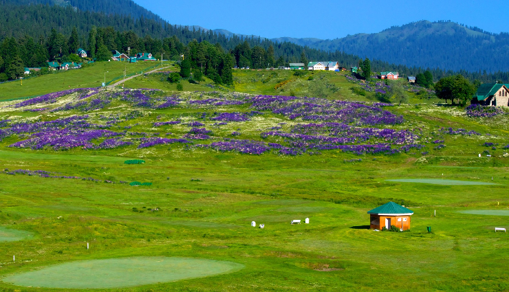 kashmir valleys to visit,must-visit valleys in kashmir,exploring scenic valleys in kashmir,top kashmiri valleys for tourists,best valleys to explore in kashmir,picturesque valleys in the kashmir region,kashmir valley travel guide,hidden gems in kashmiri valleys,valley destinations in kashmir,kashmir enchanting valley landscapes