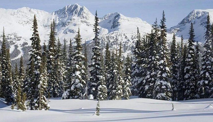 धरती का स्वर्ग माना जाता है खूबसूरत हिल स्टेशन गुलमर्ग, जानें यहां की घूमने लायक 10 जगहें gulmarg tourist attractions,places to visit in gulmarg,top 10 spots in gulmarg,gulmarg sightseeing locations,best places to explore in gulmarg,gulmarg scenic destinations,must-visit sites in gulmarg,tourist hotspots in gulmarg,gulmarg travel guide,gulmarg mesmerizing places to see,scenic spots in gulmarg,attractions in gulmarg,kashmir,tourist places in gulmarg,gulmarg natural beauty spots,sightseeing in gulmarg jammu and kashmir,famous landmarks in gulmarg,hidden gems in gulmarg,gulmarg picturesque locales,gulmarg travel destinations,adventure spots in gulmarg,gulmarg cultural sites to visit,must-see sights in gulmarg,gulmarg iconic viewpoints,gulmarg historical attractions,offbeat places in gulmarg to explore,गुलमर्ग के प्रसिद्ध स्थान,गुलमर्ग में घूमने की जगहें,गुलमर्ग के शीर्ष 10 स्थान,गुलमर्ग के दर्शनीय स्थल,गुलमर्ग में जाने योग्य स्थान,गुलमर्ग के दृश्यमान स्थल,गुलमर्ग में यात्रा संबंधी जानकारी,गुलमर्ग की प्रमुख दर्शनीय स्थलें,गुलमर्ग की प्राकृतिक सुंदरता के स्थान,गुलमर्ग के मनोरंजन स्थल