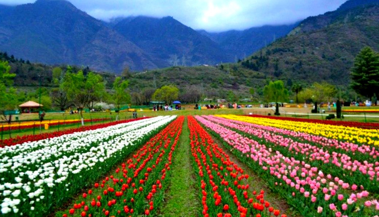 धरती का स्वर्ग माना जाता है खूबसूरत हिल स्टेशन गुलमर्ग, जानें यहां की घूमने लायक 10 जगहें gulmarg tourist attractions,places to visit in gulmarg,top 10 spots in gulmarg,gulmarg sightseeing locations,best places to explore in gulmarg,gulmarg scenic destinations,must-visit sites in gulmarg,tourist hotspots in gulmarg,gulmarg travel guide,gulmarg mesmerizing places to see,scenic spots in gulmarg,attractions in gulmarg,kashmir,tourist places in gulmarg,gulmarg natural beauty spots,sightseeing in gulmarg jammu and kashmir,famous landmarks in gulmarg,hidden gems in gulmarg,gulmarg picturesque locales,gulmarg travel destinations,adventure spots in gulmarg,gulmarg cultural sites to visit,must-see sights in gulmarg,gulmarg iconic viewpoints,gulmarg historical attractions,offbeat places in gulmarg to explore,गुलमर्ग के प्रसिद्ध स्थान,गुलमर्ग में घूमने की जगहें,गुलमर्ग के शीर्ष 10 स्थान,गुलमर्ग के दर्शनीय स्थल,गुलमर्ग में जाने योग्य स्थान,गुलमर्ग के दृश्यमान स्थल,गुलमर्ग में यात्रा संबंधी जानकारी,गुलमर्ग की प्रमुख दर्शनीय स्थलें,गुलमर्ग की प्राकृतिक सुंदरता के स्थान,गुलमर्ग के मनोरंजन स्थल