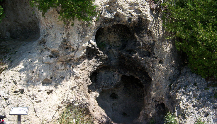 kodaikanal,places to visit kodaikanal,kodaikanal tourist places,kodaikanal tourism,holidays,travel guide,travel tips