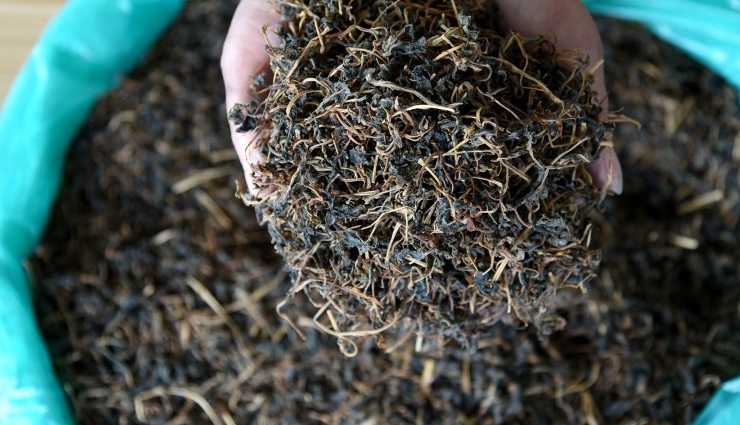 famous dishes of sikkim,holidays,travel,tourism