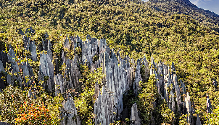 malaysia tourist attractions,top places to visit in malaysia,best destinations in malaysia,malaysia travel guide,malaysia sightseeing spots,malaysia landmarks,petronas twin towers,penang hill,langkawi sky bridge,cameron highlands,mount kinabalu,redang island,langkawi cable cars,taman negara national park,batu caves,gunung mulu national park,malaysia adventure tourism,malaysia cultural sites,malaysia natural wonders,malaysia cave exploration