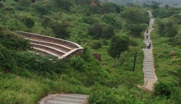 gurugram,places to visit in gurugram,sultan pur bird century,kingdom of dreams,museum of folk tribal art,dlf cyber hub,aravalli biodiversity park